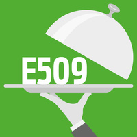 E509 Chlorure de calcium