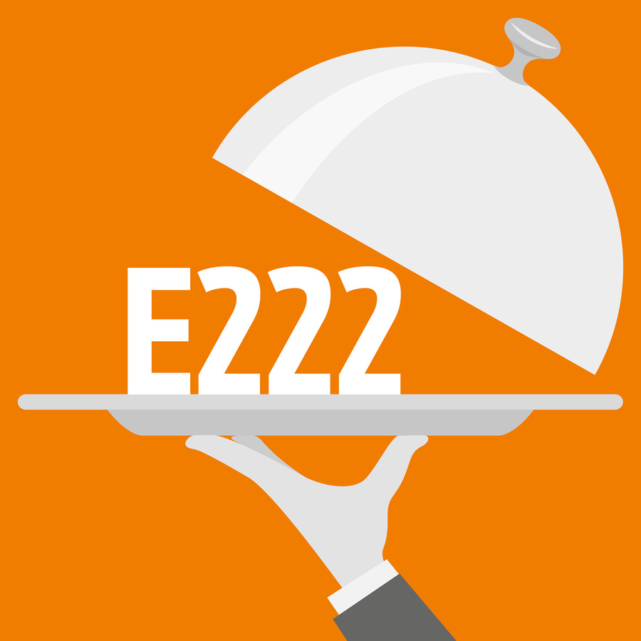 E222 Bisulfite de sodium