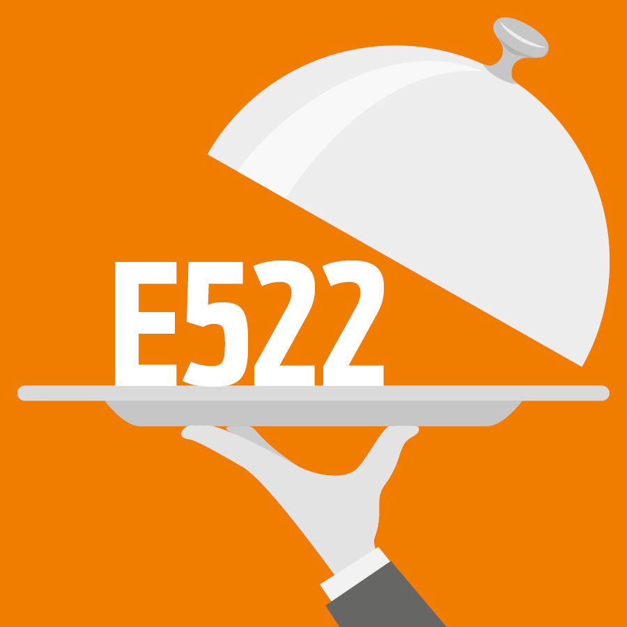 E522 Sulfate d'aluminium potassique - 