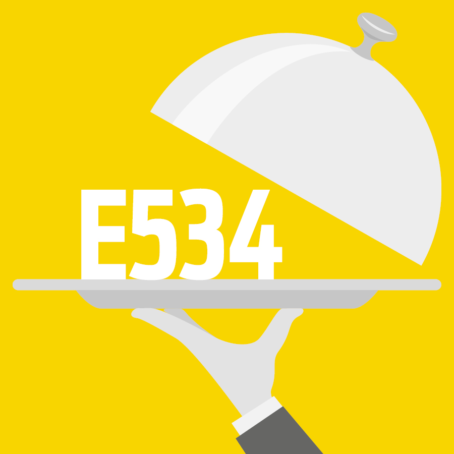 E534 Tartrate de fer - 