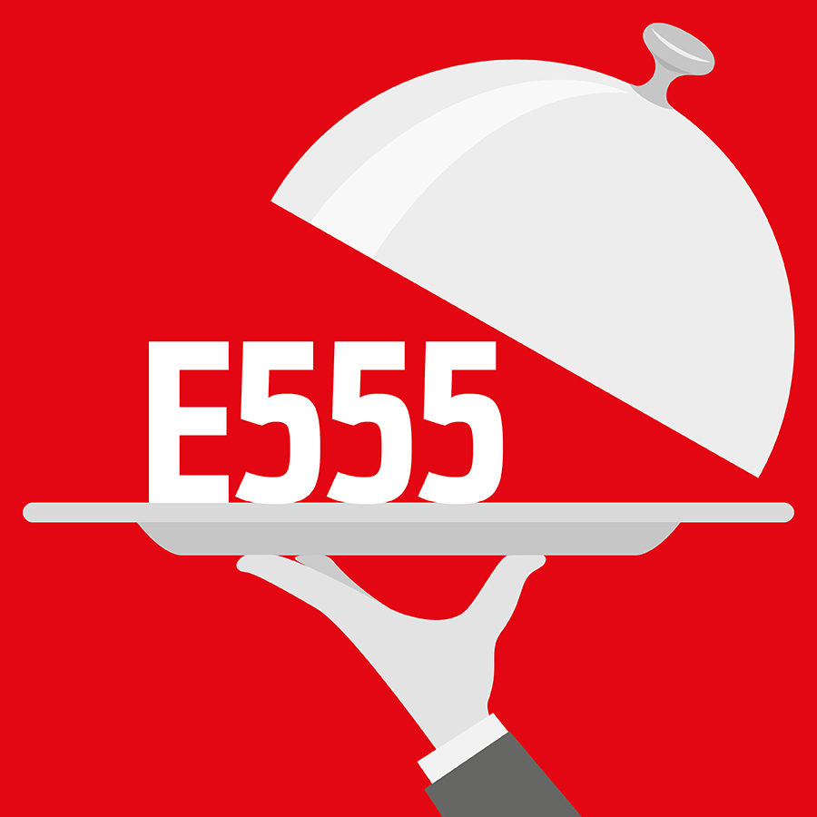 E555 Silicate alumino-potassique - 