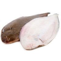 Sole