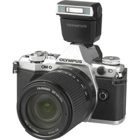 Olympus OM-D E-M5 Mark II + Tamron 14-150 mm Di III
- Vue principale