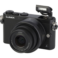 Panasonic Lumix DMC-GM1 + Lumix G Vario 12-32 mm
