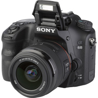 Sony ILCA-68 + DT 18-55 mm SAM II SAL18552
- Vue principale