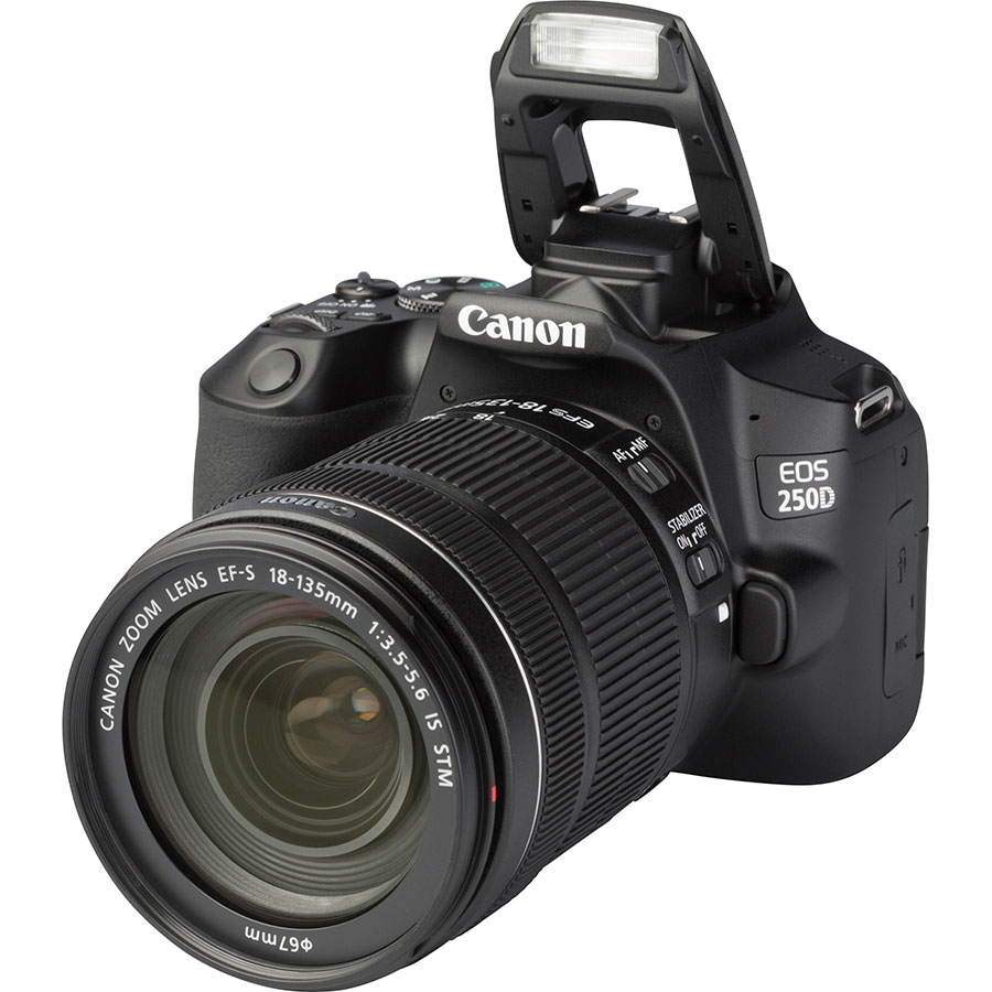 Canon EOS 250D + EF-S 18-135 mm IS STM - Vue principale