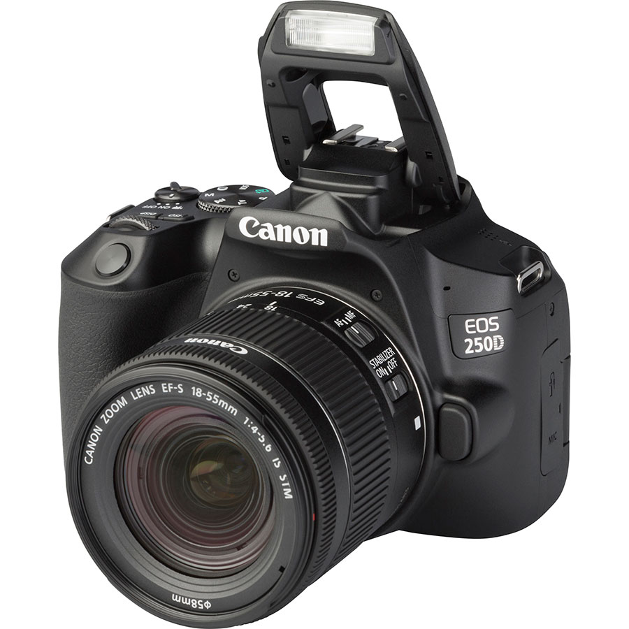 Canon EOS 250D + EF-S 18-55 mm IS STM - Vue principale