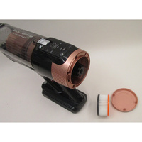 Rowenta RH9B74WO X-Force Flex 14.80 Kit Animal - Filtre moteur