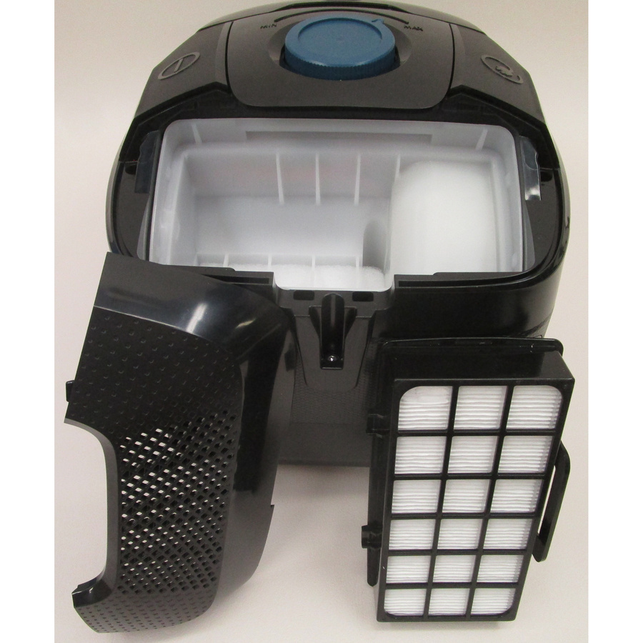 Rowenta RO4931EA Green Force Max - Filtre sortie moteur sorti