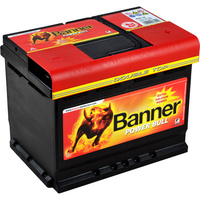 Banner PowerBull P6219