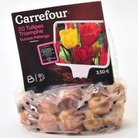Carrefour 20 tulipes triomphe Sunset mélange