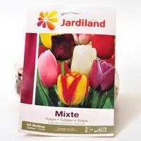Jardiland Mixte, tulipes simples tardives