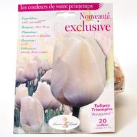 Jeanne de Laval Tulipes triomphe 'Annapurna'