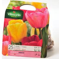 Vilmorin 25 tulipes Darwin hybride en mélange