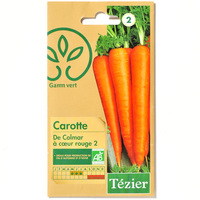 Gamm vert-Tézier Carotte AB (*3*)