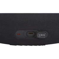 JBL Charge 5 Wi-Fi - Connectique