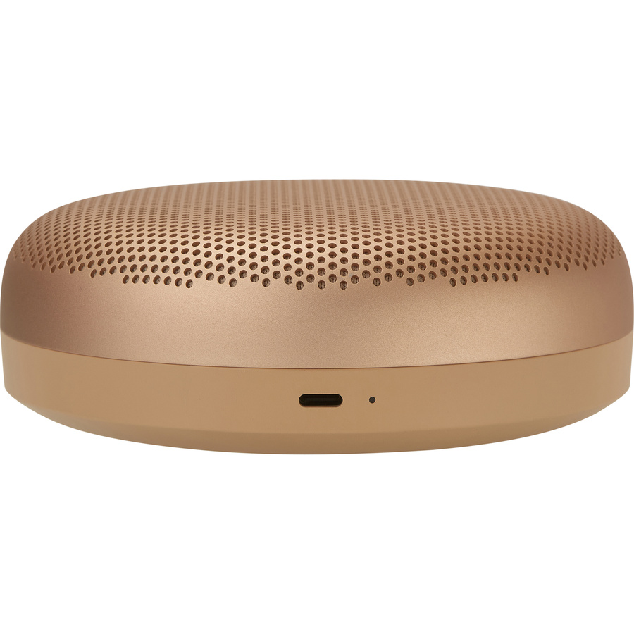 Bang & Olufsen Beosound A1 3rd Gen - Connectique