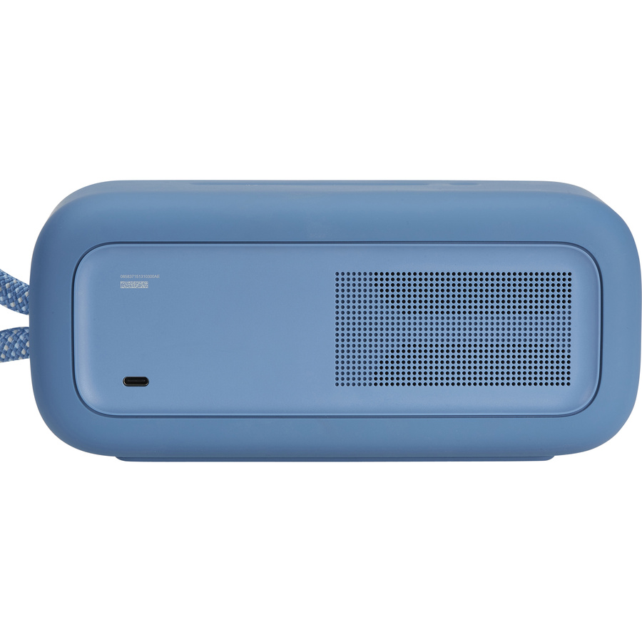 Bose SoundLink Plus - Connectique
