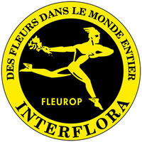 www.interflora.fr