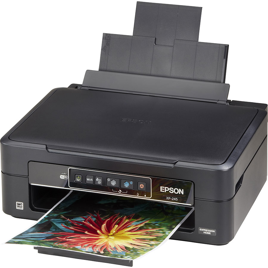 epson xp 245 scan to usb