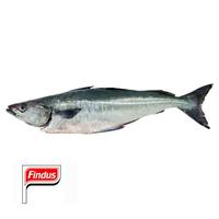 Findus, 4 tranches, 100% filet, ANE