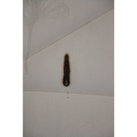 Epeda Nereide - Résultat du test d'inflammabilité avec des cigarettes