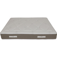 Epeda Nereide - Vue de côté