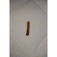 Simmons Fitness - Résultat du test d'inflammabilité avec des cigarettes