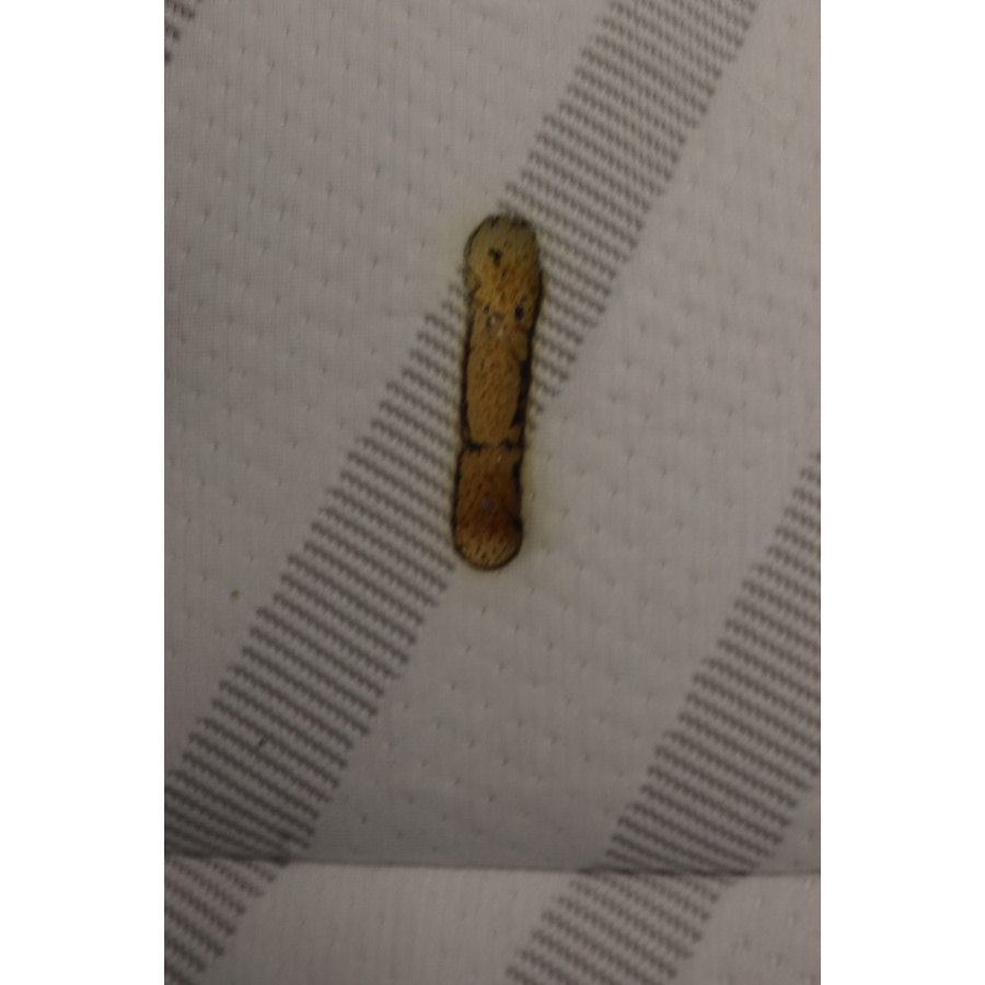 Bellecour literie Privilège - Résultat du test d'inflammabilité avec des cigarettes