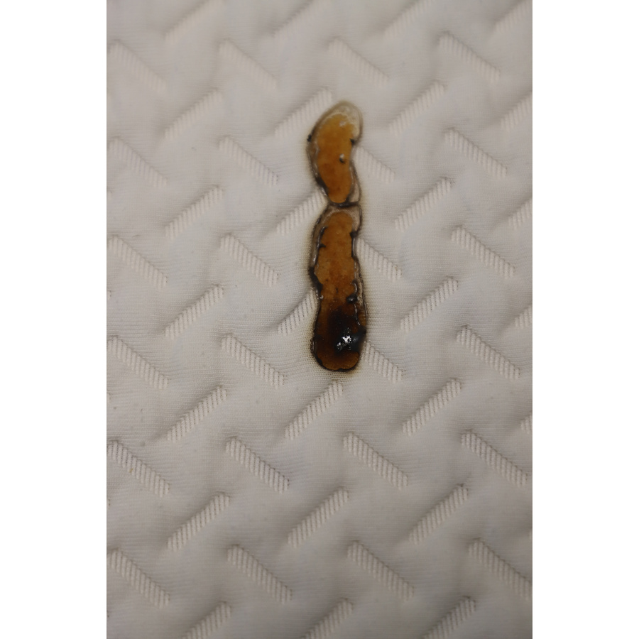 Écomatelas Le Petit Nuage - Résultat du test d'inflammabilité avec des cigarettes