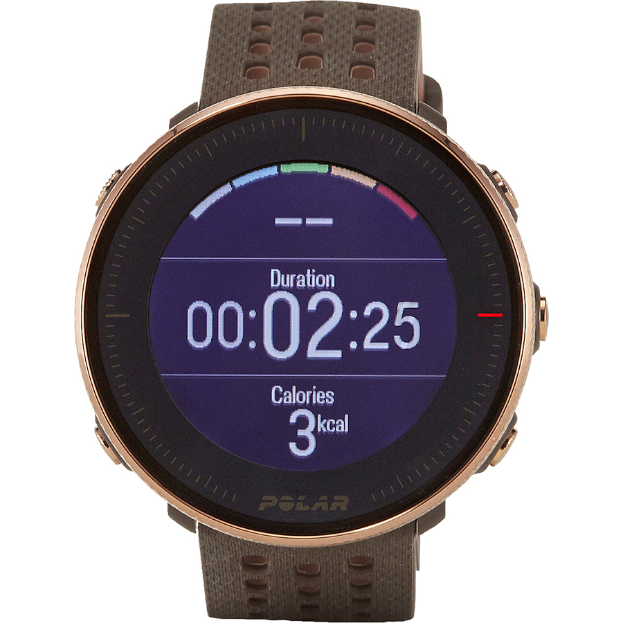 Polar Vantage M2