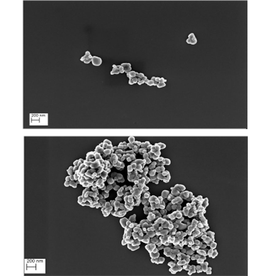 Dafalgan 1 g comprimés pelliculés - Exemple d'observation au microscope électronique à balayage