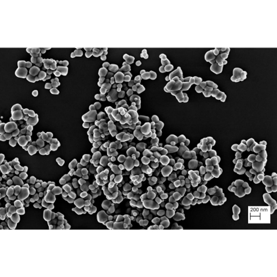 Hollywood Chewing-gum 2Fresh menthe fraîche/menthe forte - Exemple d'observation au microscope électronique à balayage