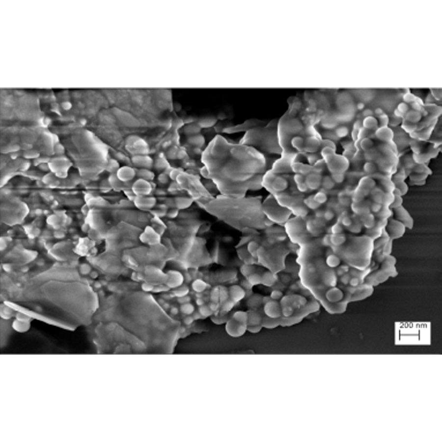 Sanex Natur protect 48h déodorant - Exemple d'observation au microscope électronique à balayage
