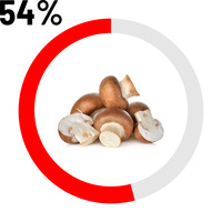 Champignons 
