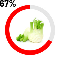 Fenouil 
