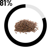 Lentille 