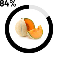 Melon 