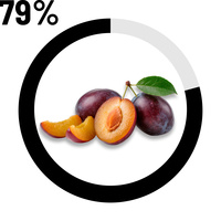 Prune 