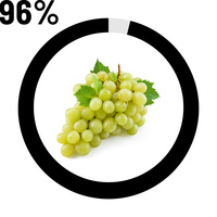 Raisin 