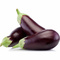 Aubergine