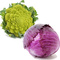 Autres choux (chou rouge, chou romanesco, chou chinois)