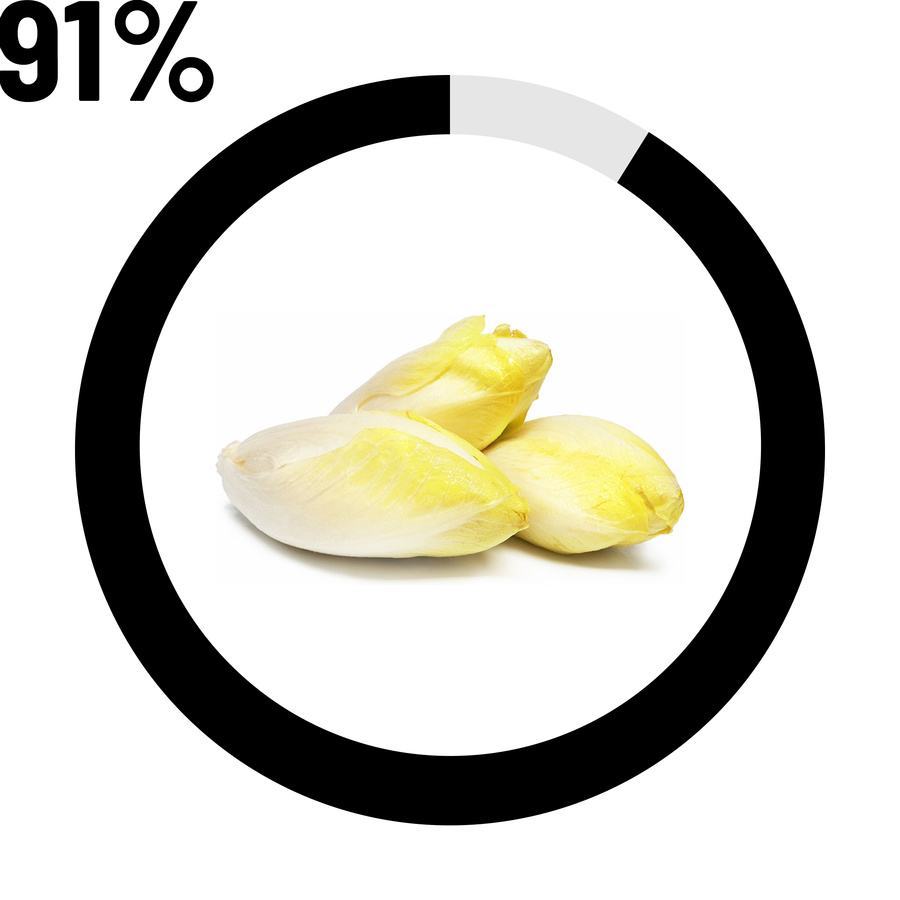 Endive 