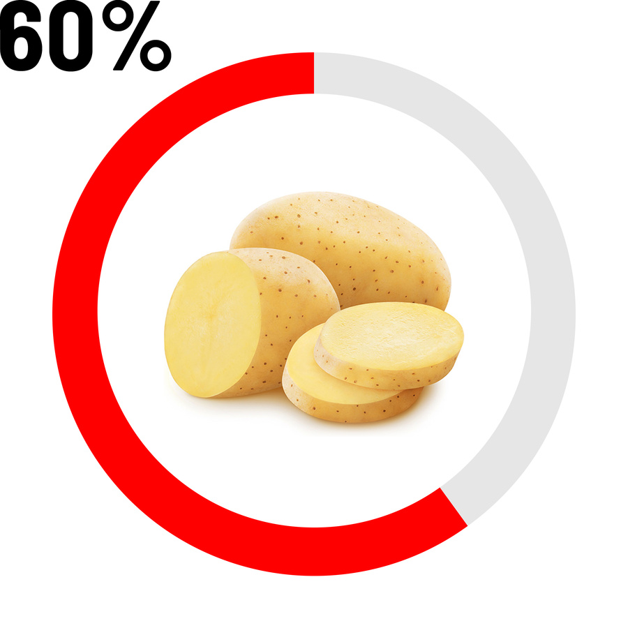 Pomme de terre 