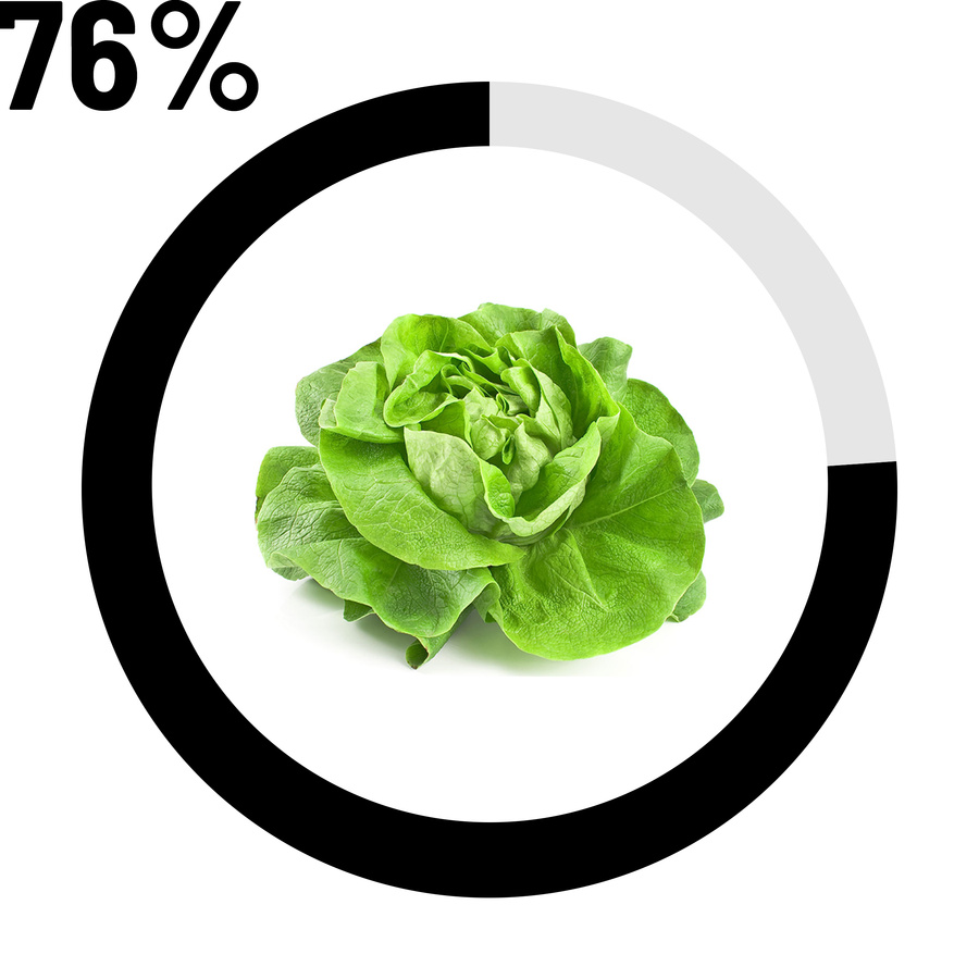 Salade 