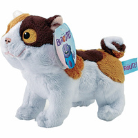Chat « en route ! » Gipsy