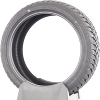 CST Medallion Winter WCP1 -  225/40 R18