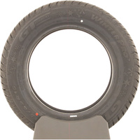 GT Radial WinterPro2 Evo