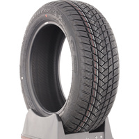 GT Radial Winterpro2 Evo 205/55 R16