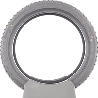 Maxxis Premitra Snow WP6 -  225/40 R18